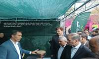 سفر و  بازدید معاون وزیر در امور باغبانی به استان یزد - مهرماه 1404